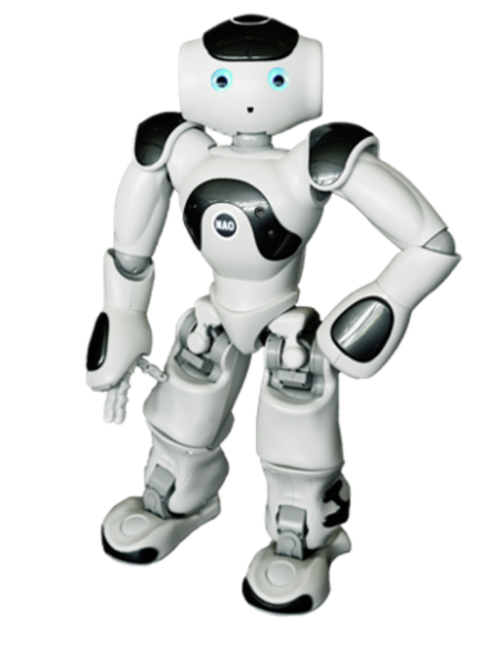 Nao Roboter