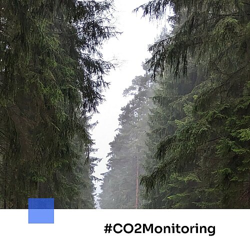 #iwe entwickelt Echtzeit-Monitoring für CO2 Emissionen 🖥

Klimaneutralität bis zum Jahr 2040 – dieses Ziel möchte...
